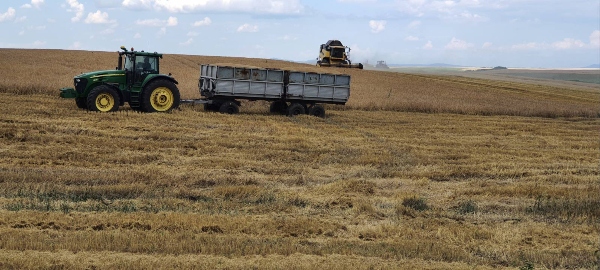 Harvest_1