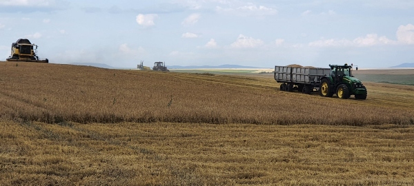 Harvest_2
