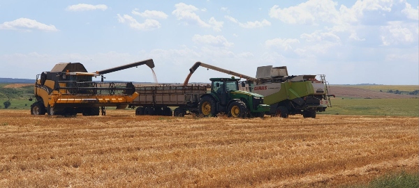 Harvest_5