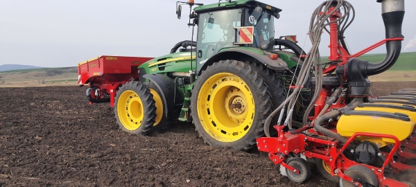 Sunflower_sowing_1