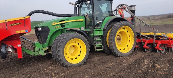 Sunflower_sowing_2