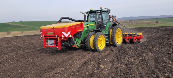 Sunflower_sowing_3