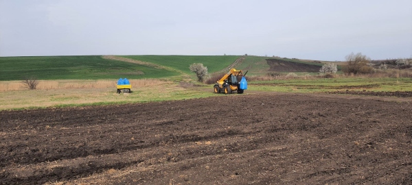 Sunflower_sowing_5